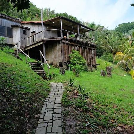 Guanaja Backpackers Hostel Ngoại thất bức ảnh
