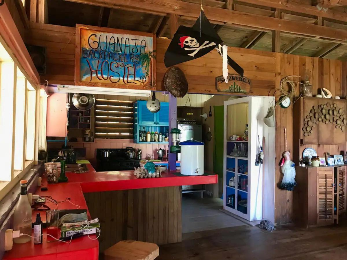Guanaja Backpackers Hostel Ngoại thất bức ảnh