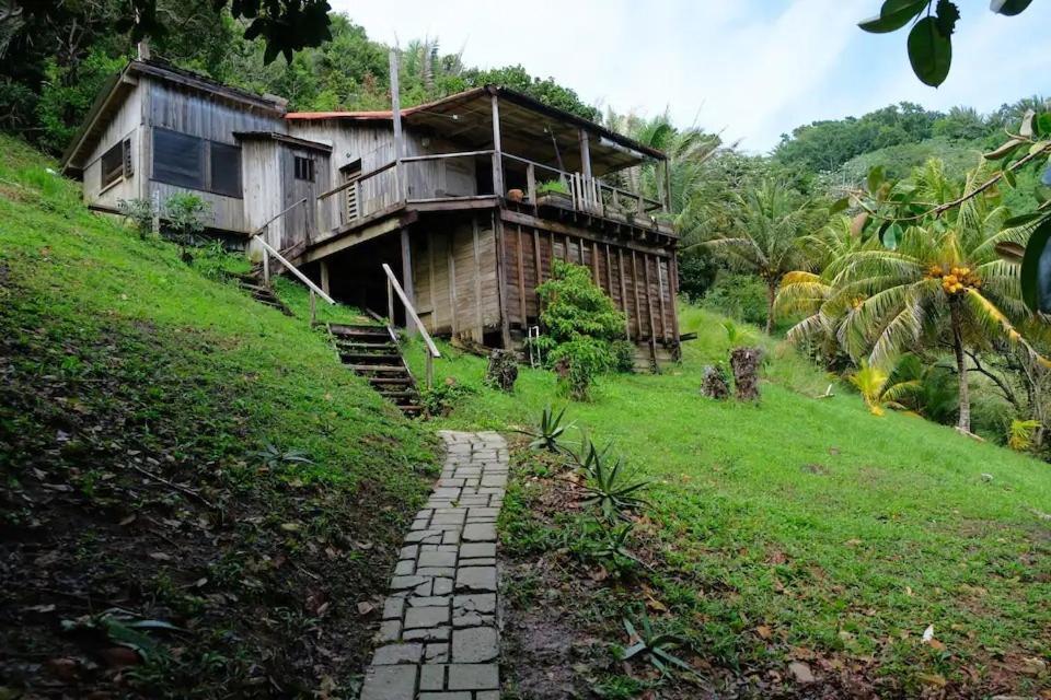 Guanaja Backpackers Hostel Ngoại thất bức ảnh